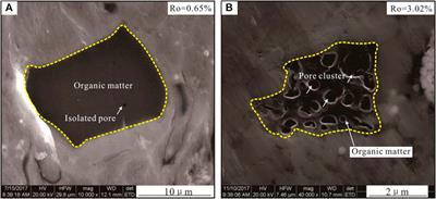Experimental Study on the Development Characteristics and Controlling Factors of Microscopic Organic Matter Pore and Fracture System in Shale